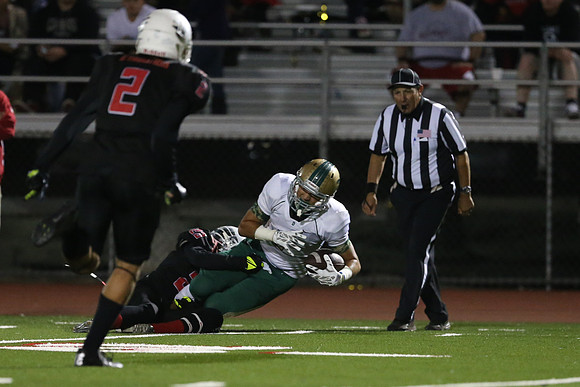 1DXL0216
