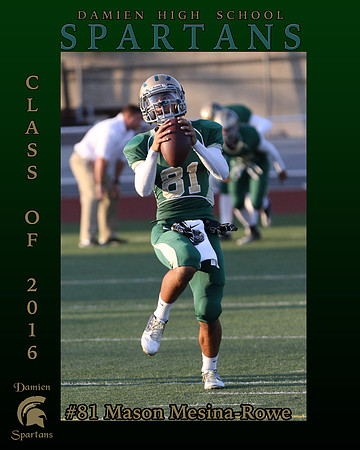 #81 Mason