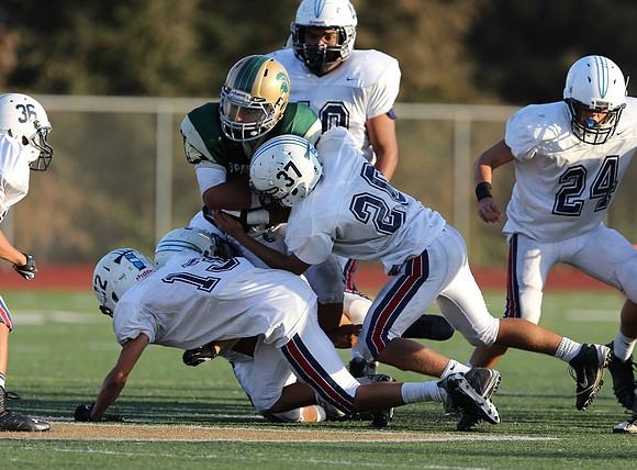 1DXL0460
