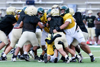 Damien Vs St. Francis 8-14-2026