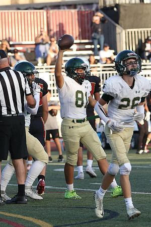 116A0207