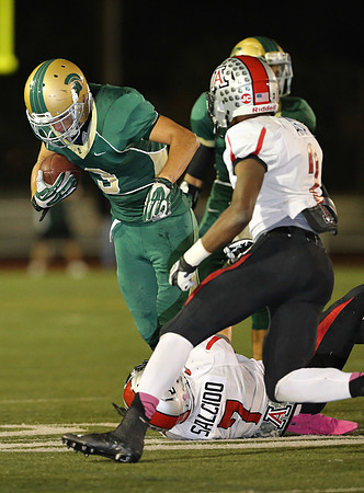 1DXL1557