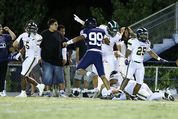 1DXL9194