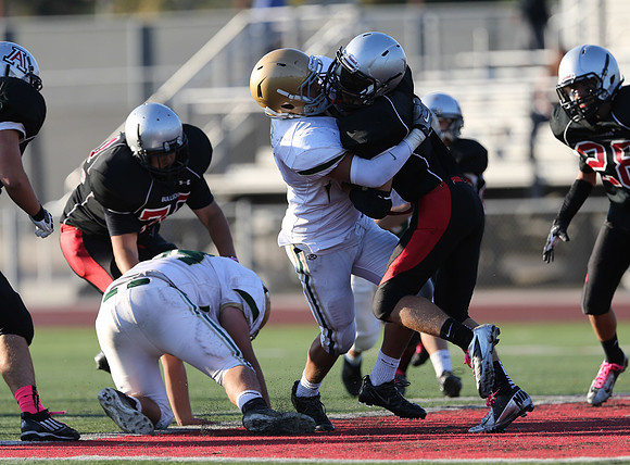 1DXL1110